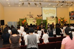 VBS2011b2520272
